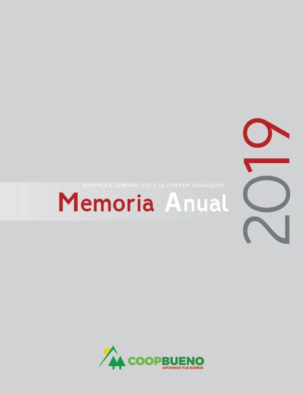Memoria Anual 2019